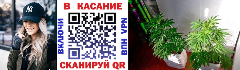 Магазины продажи наркотиков Назарово Каннабис  Меф  Alpha-PVP  ГАШИШ 