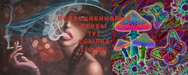 прущий лед Володарск