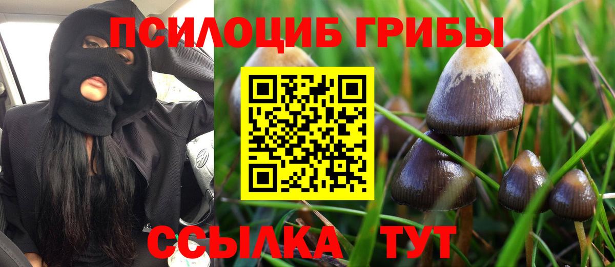 Назарово  Галлюциногенные грибы Magic Shrooms  Псилоцибиновые грибы GOLDEN TEACHER  Вход с VPN 