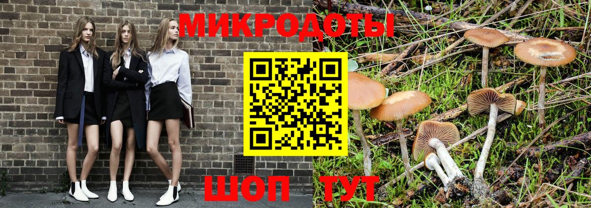 Галлюциногенные грибы Psilocybine cubensis Назарово